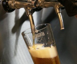 Madriguera Brewing Co