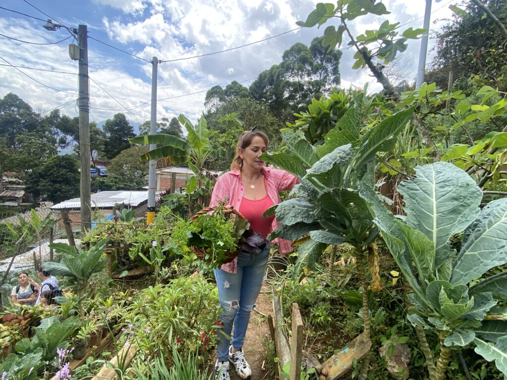 Comuna 8