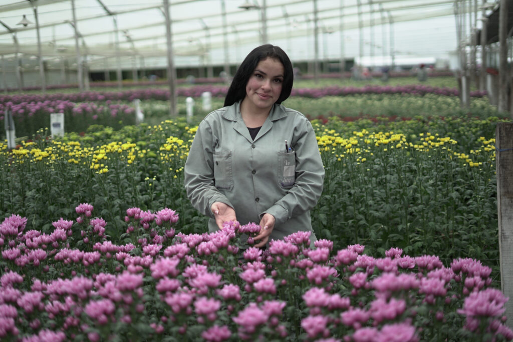 flores