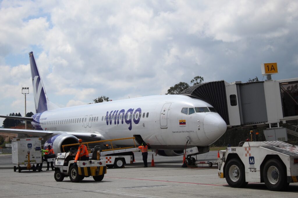 Wingo