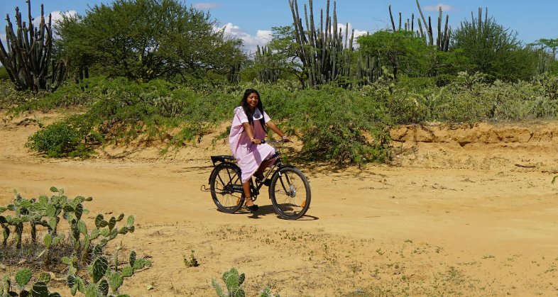 World Bicycle Relief