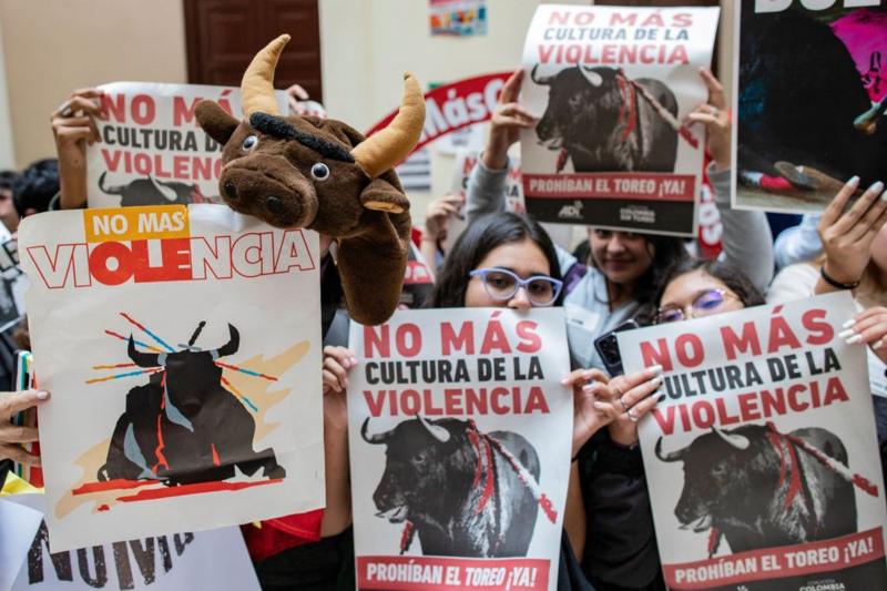 toros