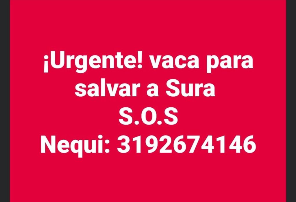 Sura