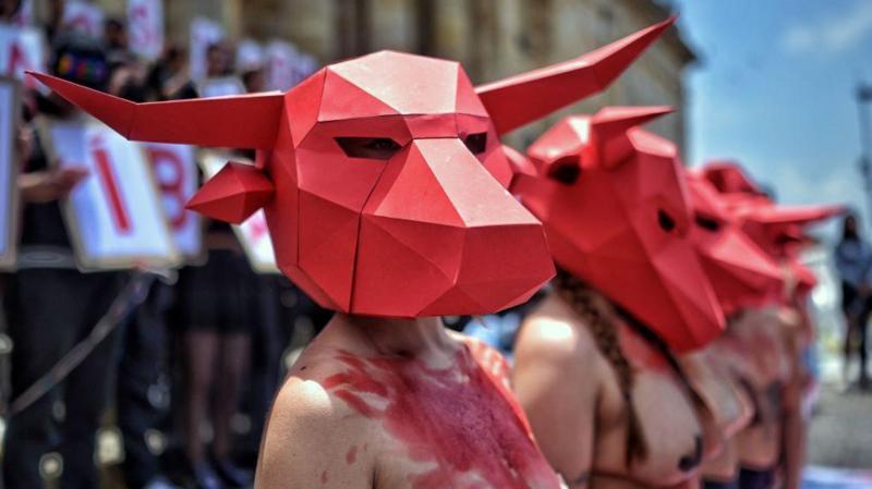 toros