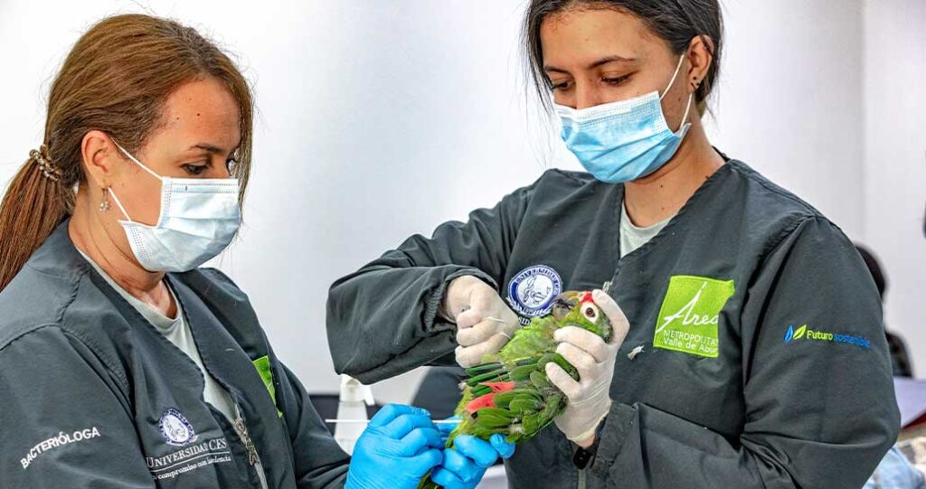 Centro de Atención, Valoración y Rehabilitación de Fauna Silvestre del Área Metropolitana del Valle de Aburrá (CAVR)