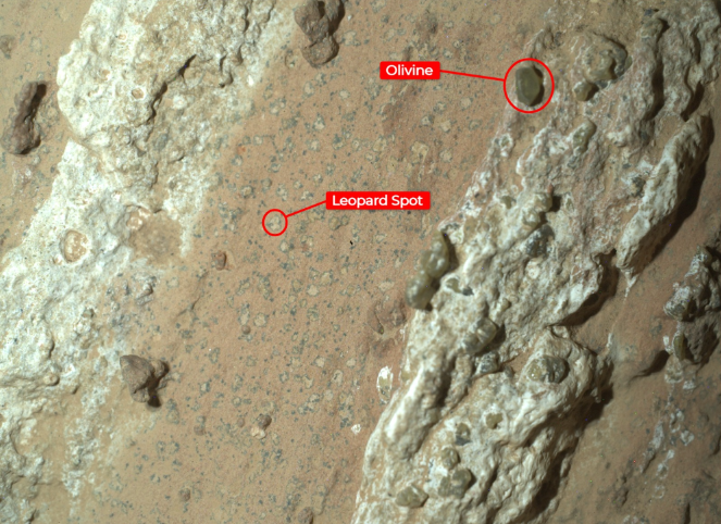 “Cheyava Falls”. La imagen fue capturada por el instrumento WATSON en el Perseverance Mars de la NASA. Crédito: NASA/JPL-Caltech/MSSS