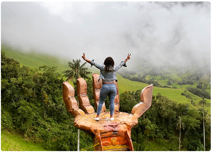 Valle del Cocora, Colombia. Foto: Fincas Panaca