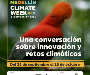 BN_CW_300x300_1