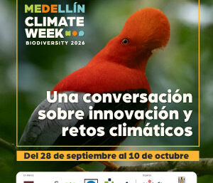 BN_CW_300x300_1
